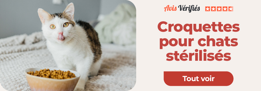 notre sélection de croquette pour les chats stérilisés