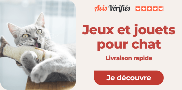 Jeux et jouets pour chat