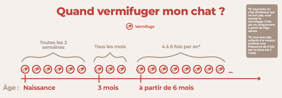 vermifuge chat : fréquence et calendrier