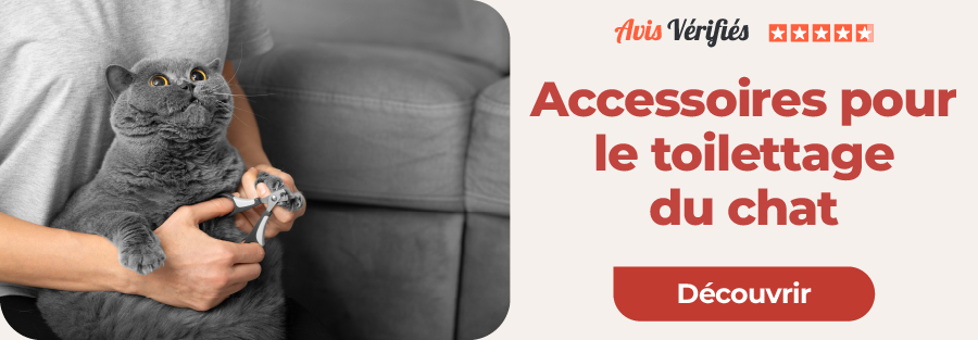 accessoires toilettage chats
