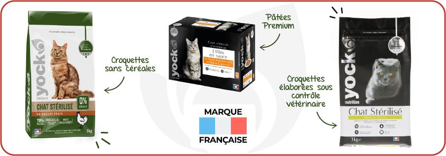 Croquettes et pâtées YOCK pour tous les chats