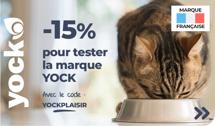 offre bienvenue reduction