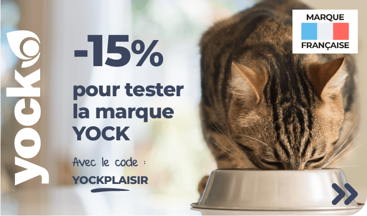 Whiskas Sachets fraîcheur en sauce - 4 variétés - Pour chat adulte  stérilisé - 4 x 100 g à prix pas cher