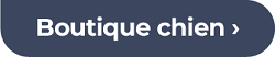 boutique chien