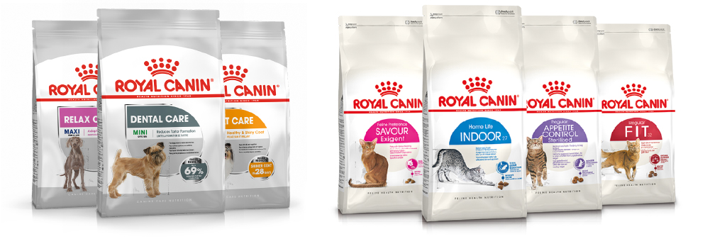 feline care nutrition royal canin