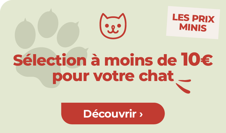 chat prix minis