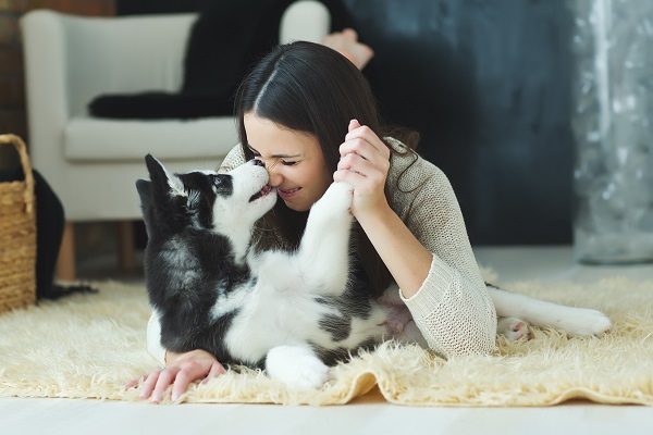 chien et sa maitresse qui jouent