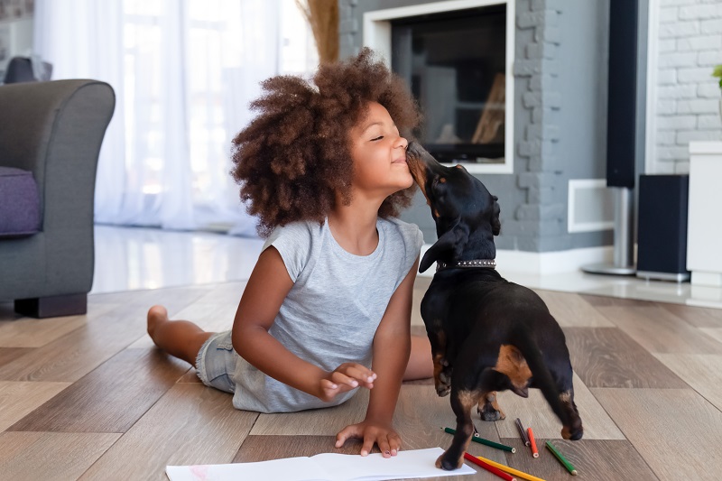coloriages de chiens pour enfants