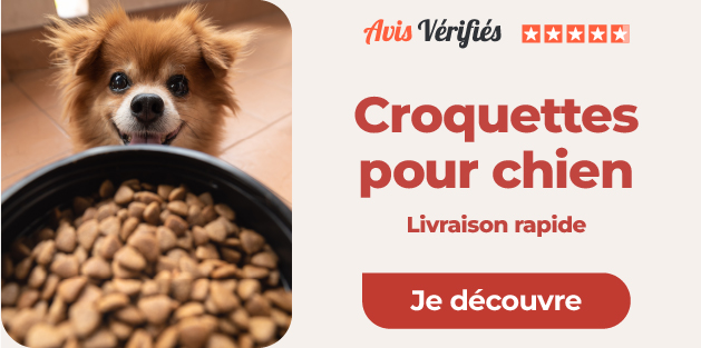 large choix de croquette chien sur notre animalerie en ligne