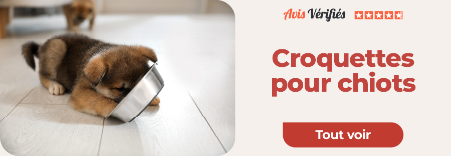 croquettes pour chiots
