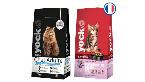 croquettes chats