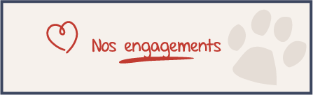 engagements de notre animalerie Terranimo