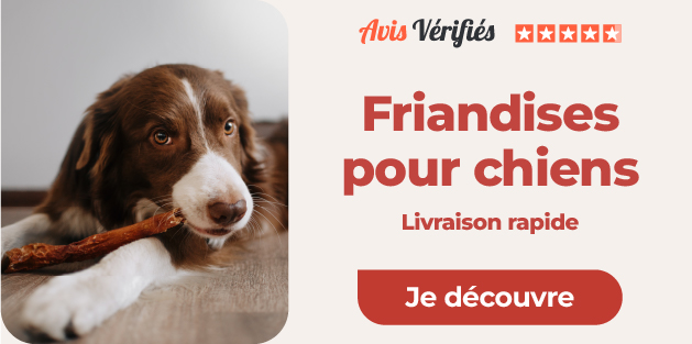 friandise pour chien