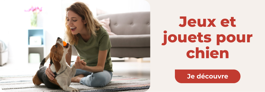 jouets pour chiens