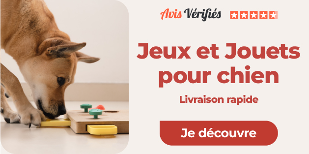 jeux et jouets pour chien