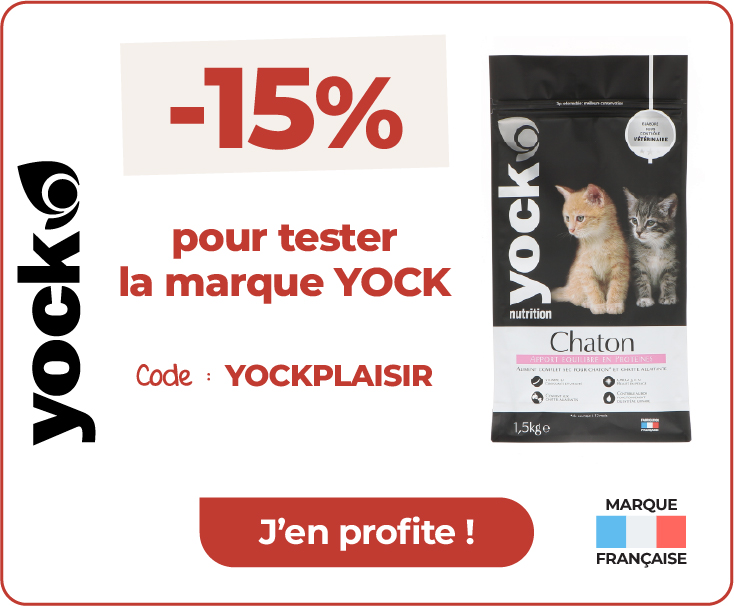 offre croquettes yock
