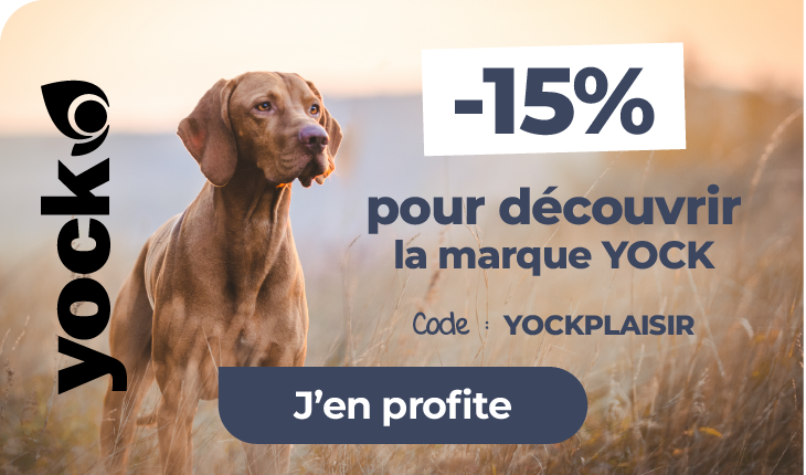 croquettes chien chat yock