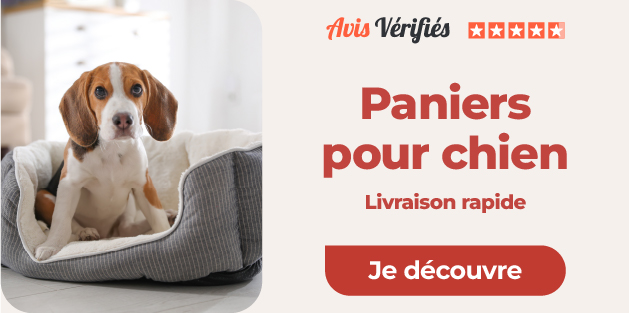 chien dans son panier et sélection de produits