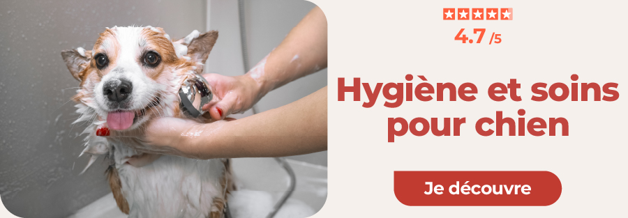 produits d'hygiène et de soin pour chiens 