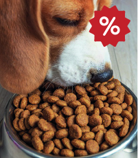 promos croquette chien