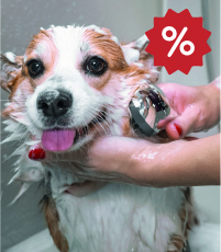 promo hygiene soin chien