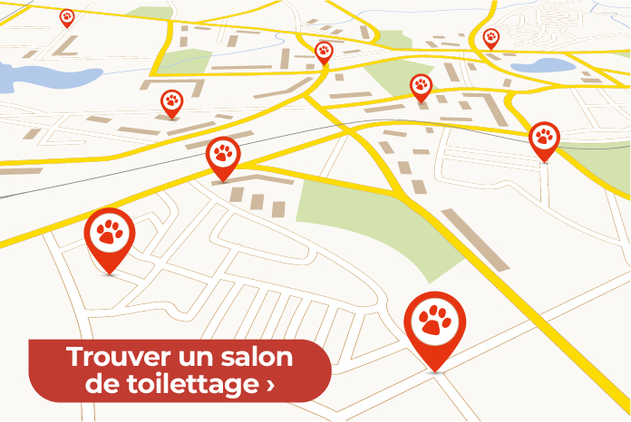 salon de toilettage autour de moi