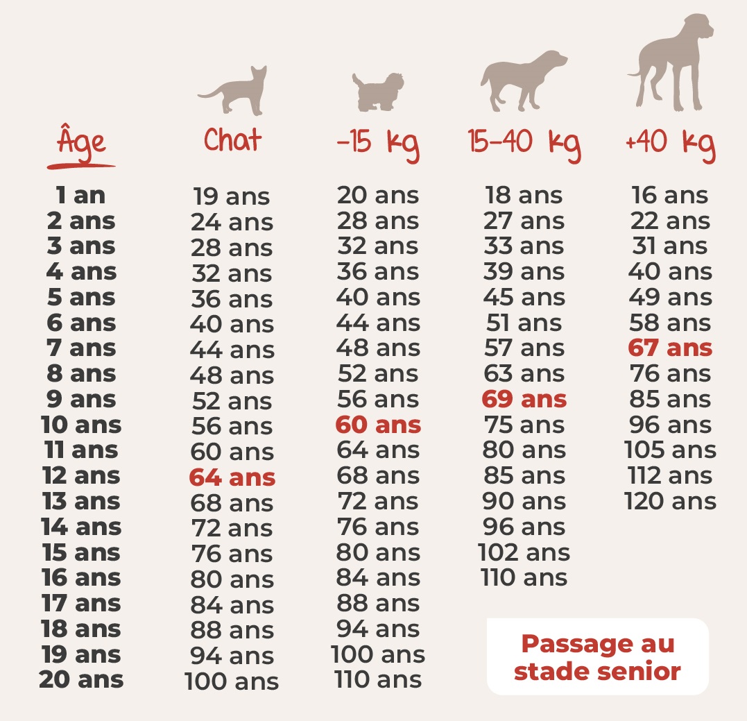 Comment calculer l