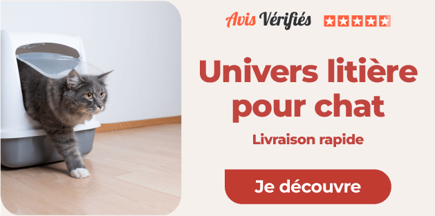 univers litière du chat