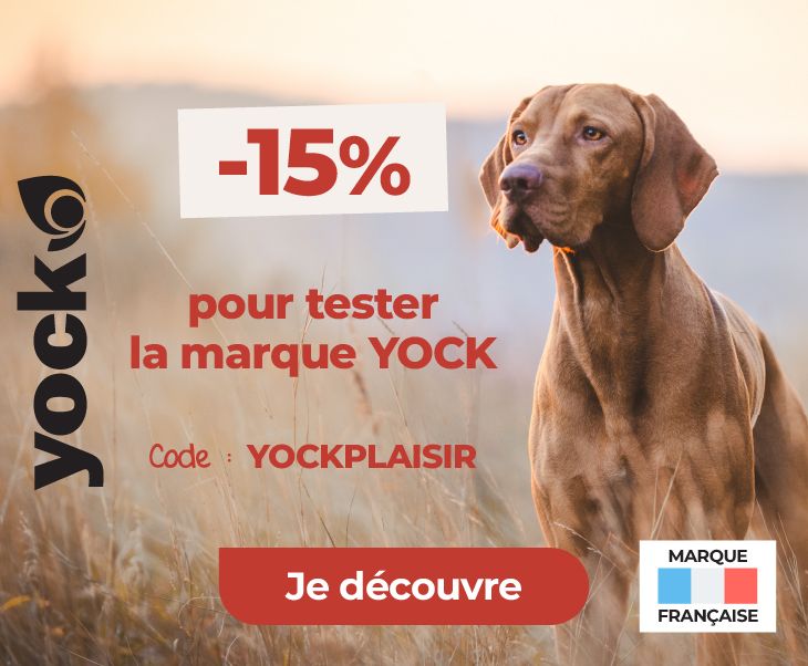 -15% sur la marque de croquette chien YOCK