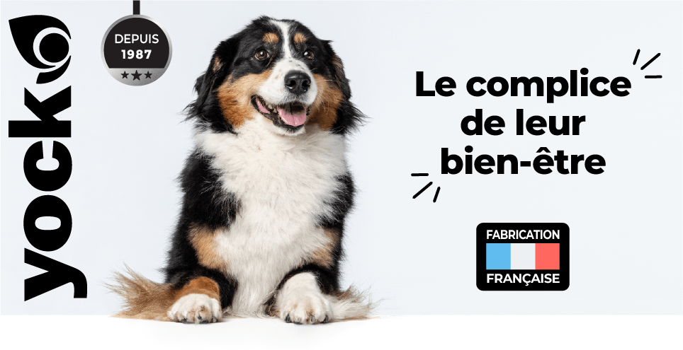 alimentation yock pour chien et chat